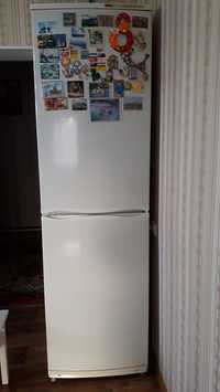 Холодильник высокий