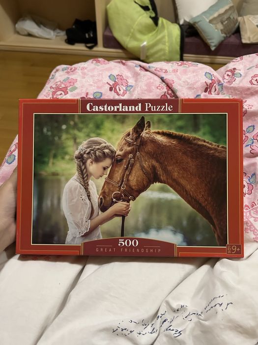 Пъзел с изображение на момиче и кон
