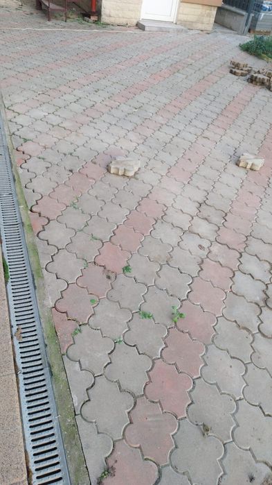 Vand pavaje de bună calitate