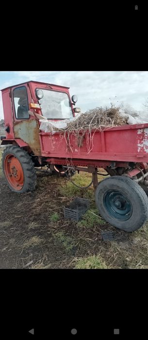 Трактор т16 срочно прадажа