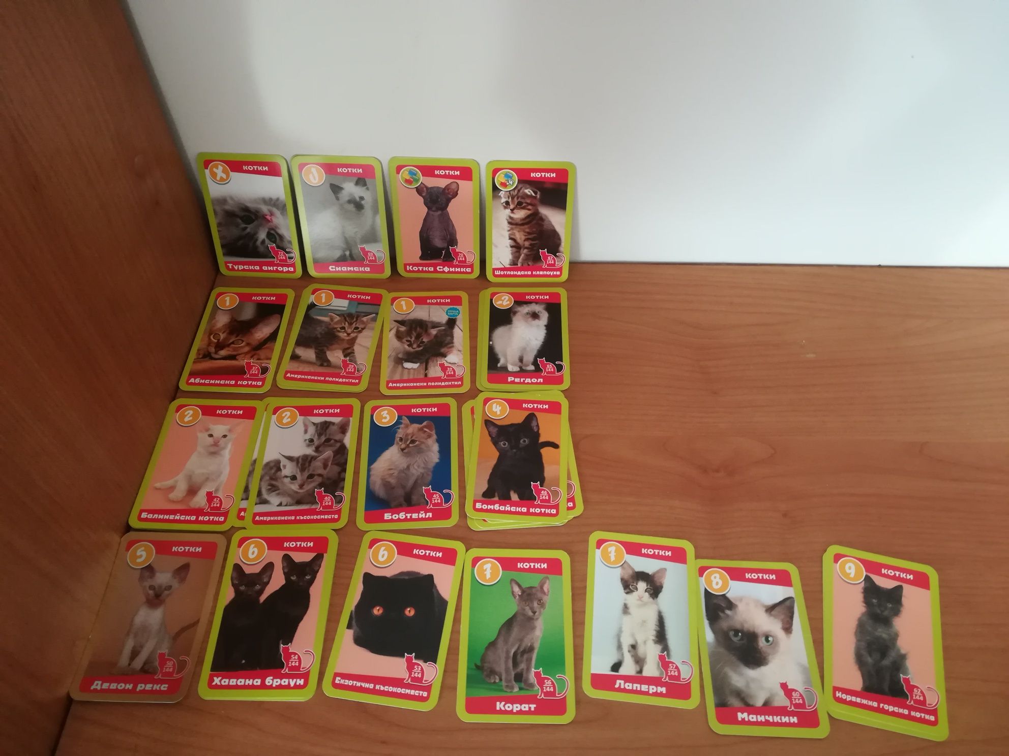 Колекция карти с животни