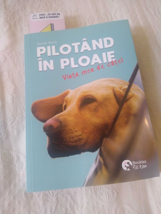 Cartea Pilotând in ploaie de Garth Stein