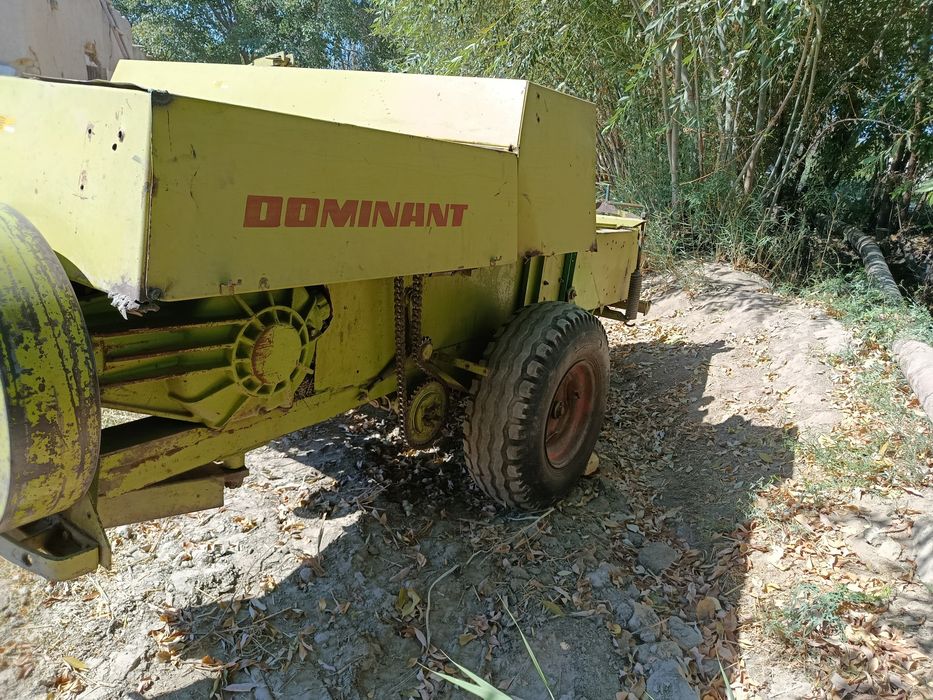 Pirespadborshik 60 sotiladi