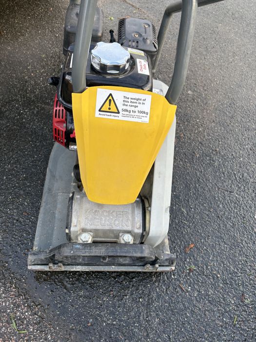 Talpa de batut Wacher 2022