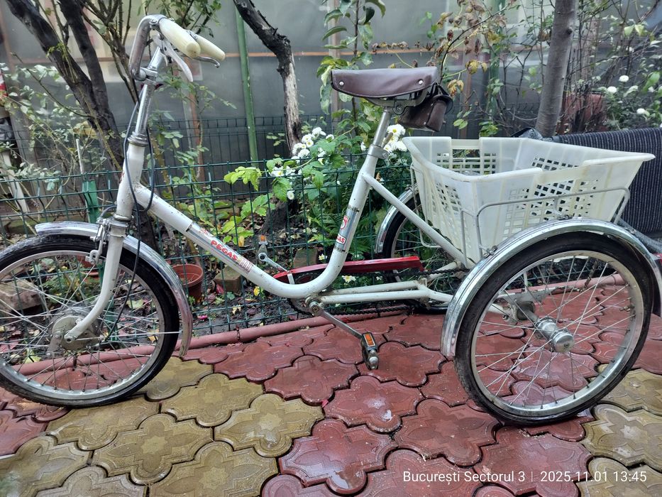 Tricicleta adulți Pegas