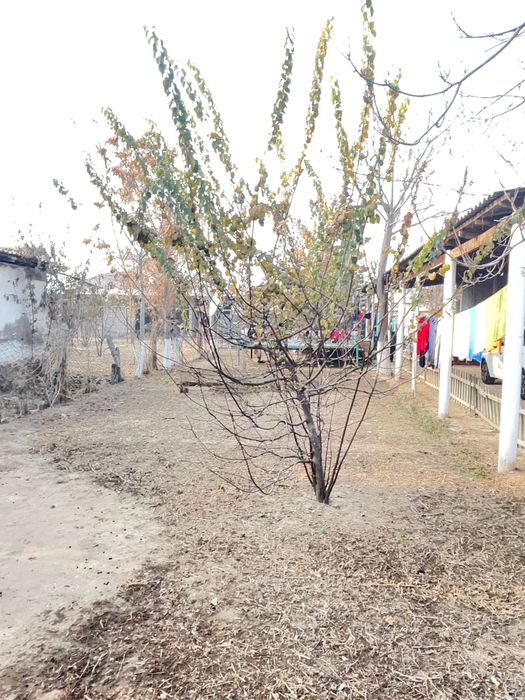 Дом продается,жер үй.