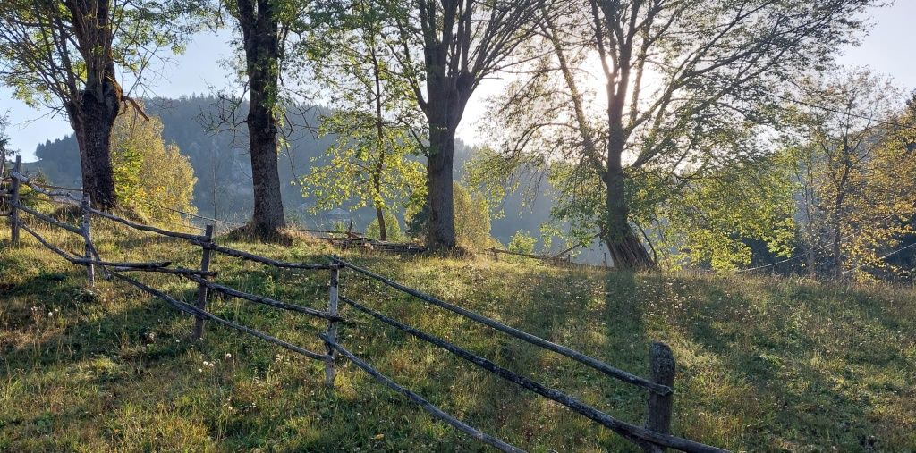 Casa de vanzare cu teren in com Scărişoara