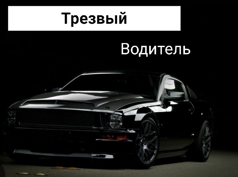 Трезвый водитель: