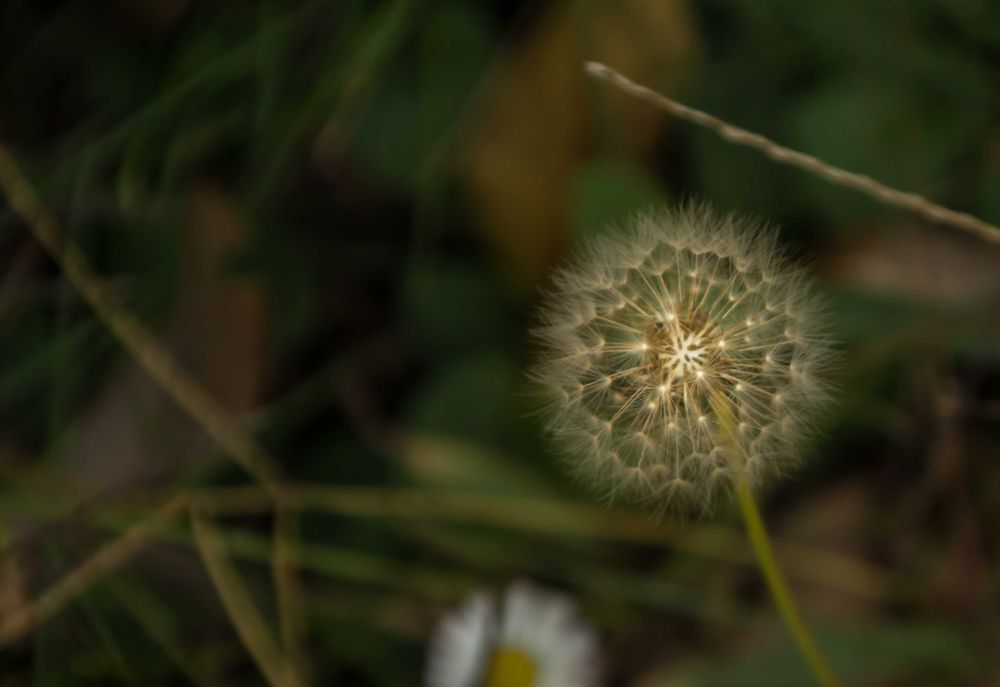 Obiectiv Tamron 18-200, f 3,5-6,3, montura Nikon