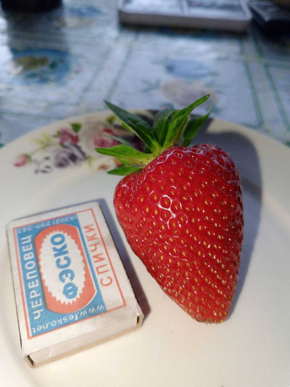 Лучшие Сорта  Клубники