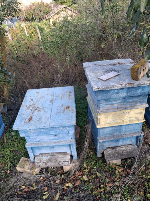 Оборудване за пчели