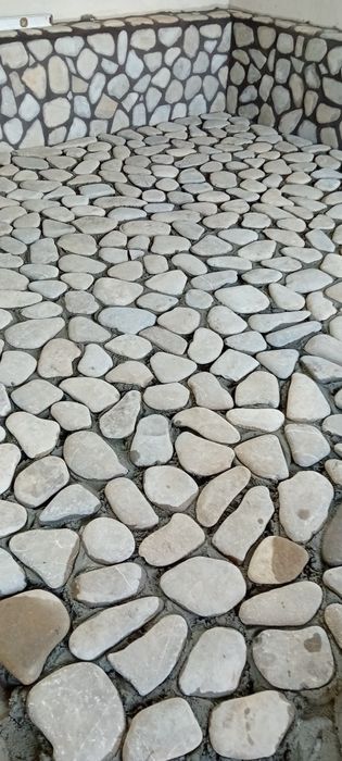 Piatră naturală de munte și plante ornamentale