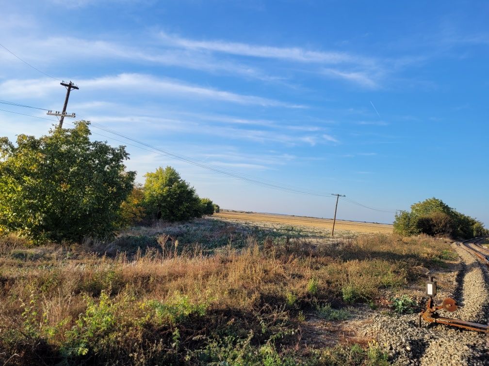 Teren de vanzare Biharia