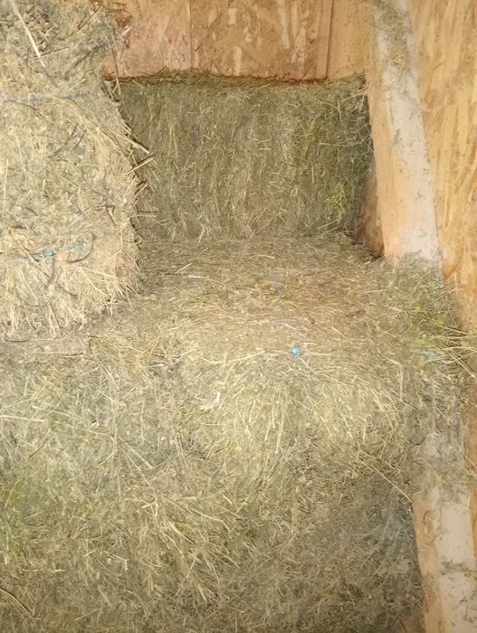 Vând Baloți Lucerna