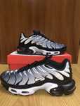 Nike air max plus Tn