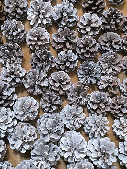 Cornuri de brad vopsite (80 bucăți)