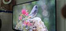 Телевизор Grundig  50" UHD4K 2020г.