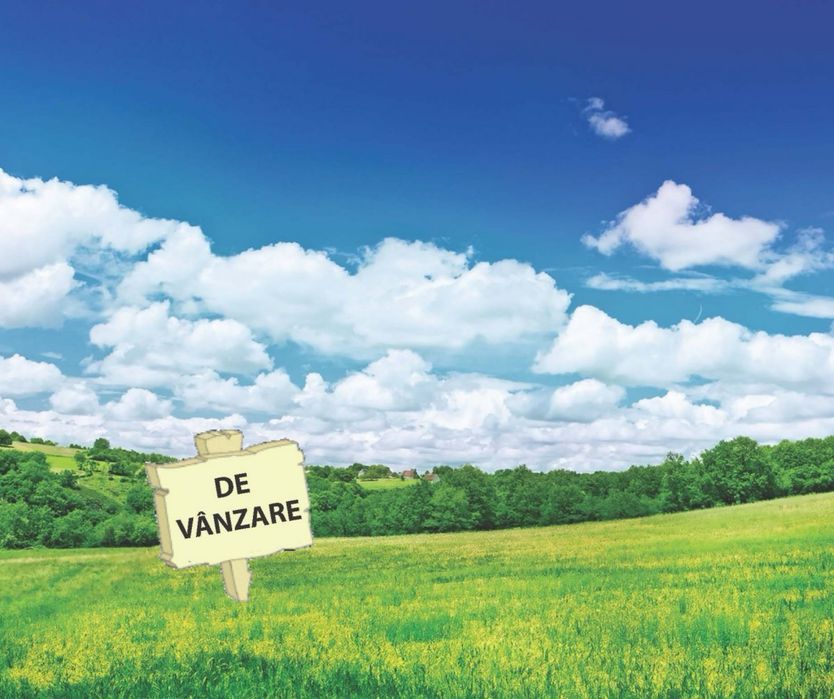 Ferma de vanzare