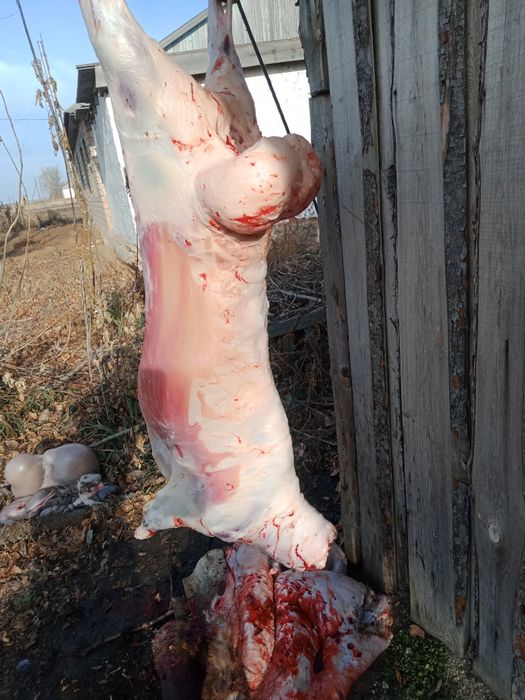 На Постоянной основе реализуем