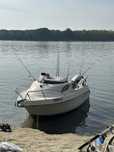 Barca cabinata quic silver motor mariner 40cp