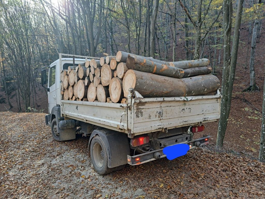 Lemn de foc la domiciliu în jud arad și bihor