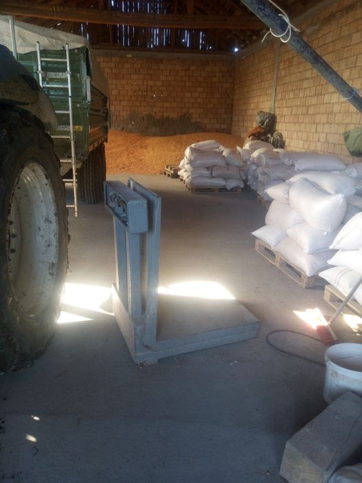 Porumb, gråu, triticale.posibilitate de transport