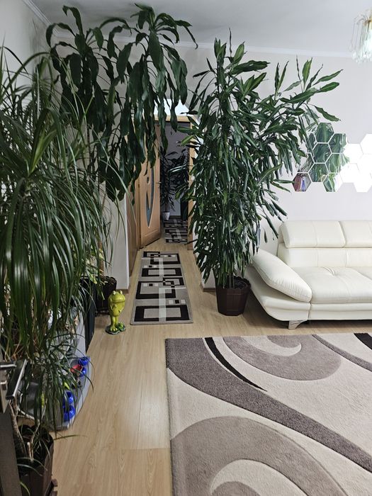 Apartament cu două camere!