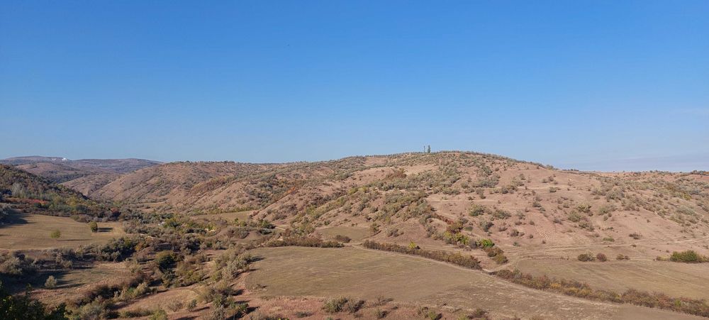 Teren vie 1.43 ha - Defrisat, Dealu Mare, Fantanele/Vadu Sapat Schimb