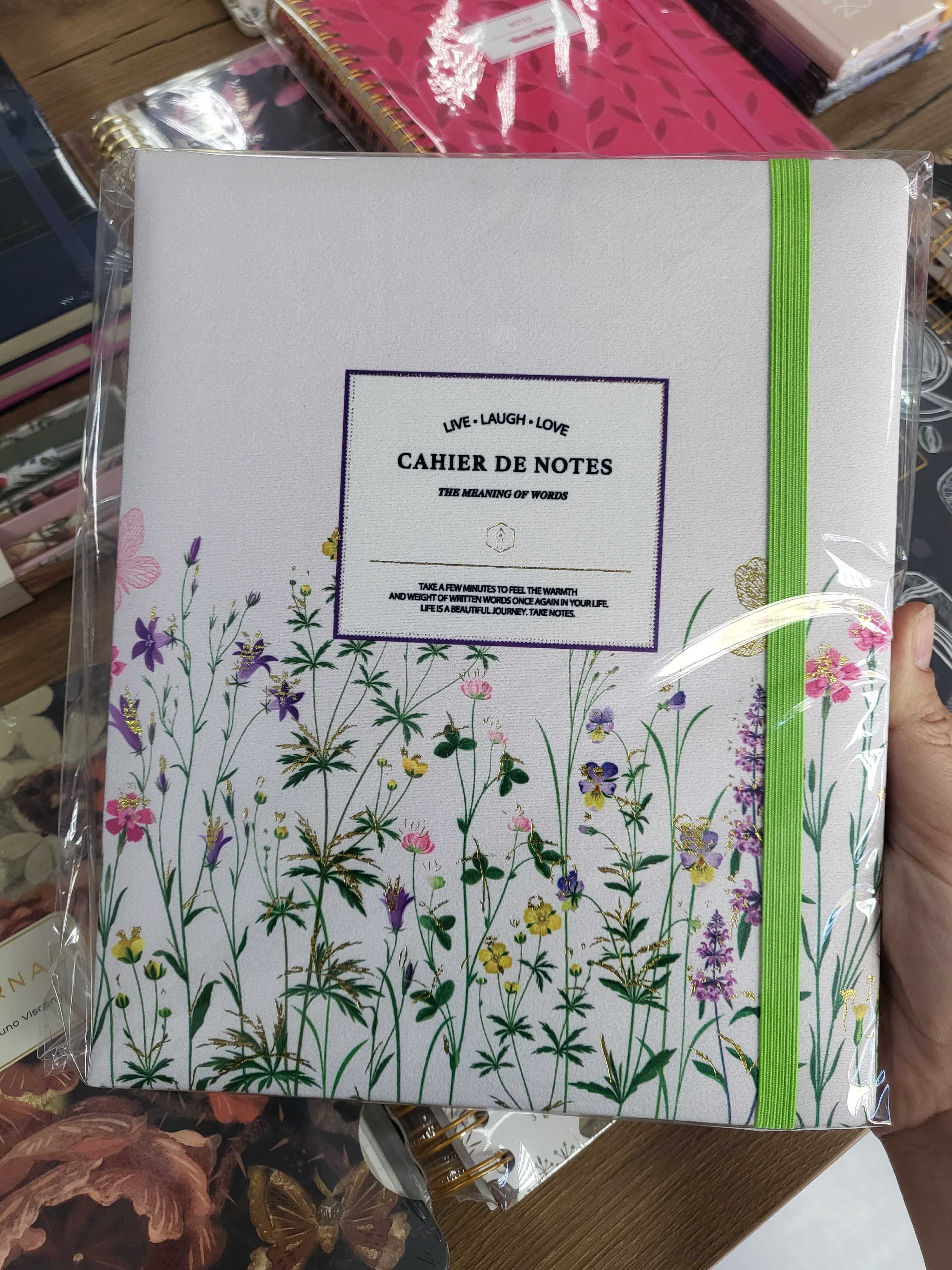 Планер  Victorias' Journals