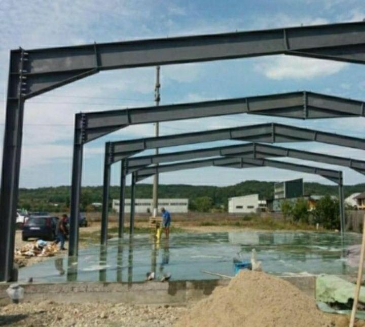 Vand hala pe structura metalica de 30×15×4