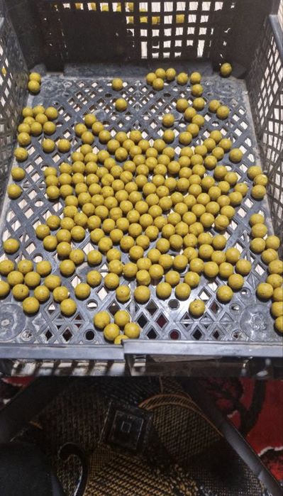 Vand boilies incepand cu diametrul de 14,16,20mm