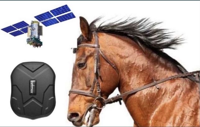 Жылқыға ЖПС /GPS для Лошадей