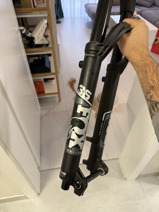 Furca Fox RHYTHM 36 29