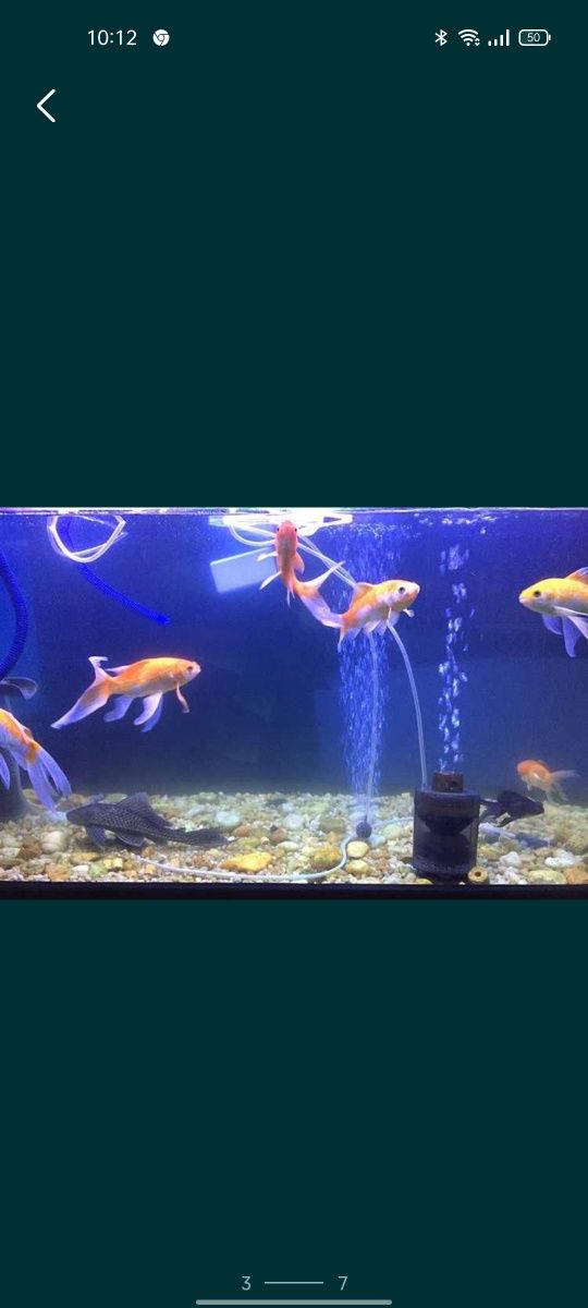 Lampa LED  full spectru pentru acvariu