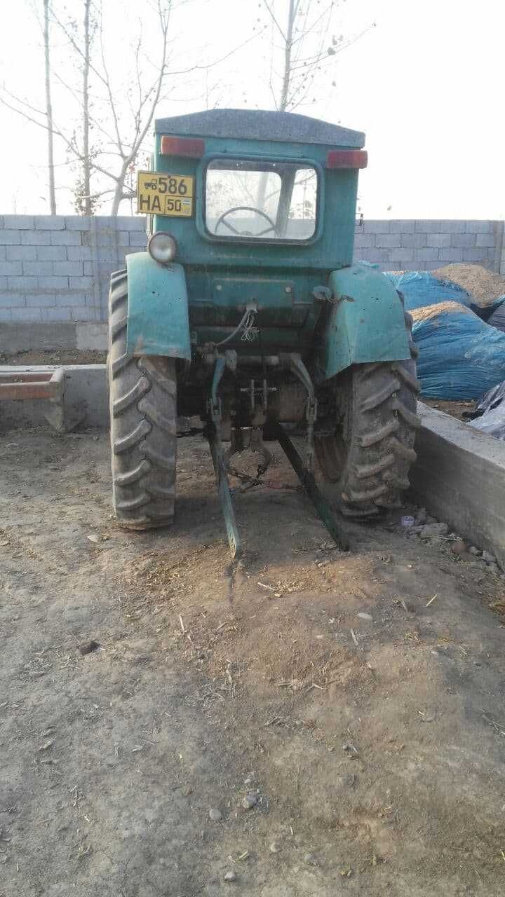 Traktor T40 shina yaxwi