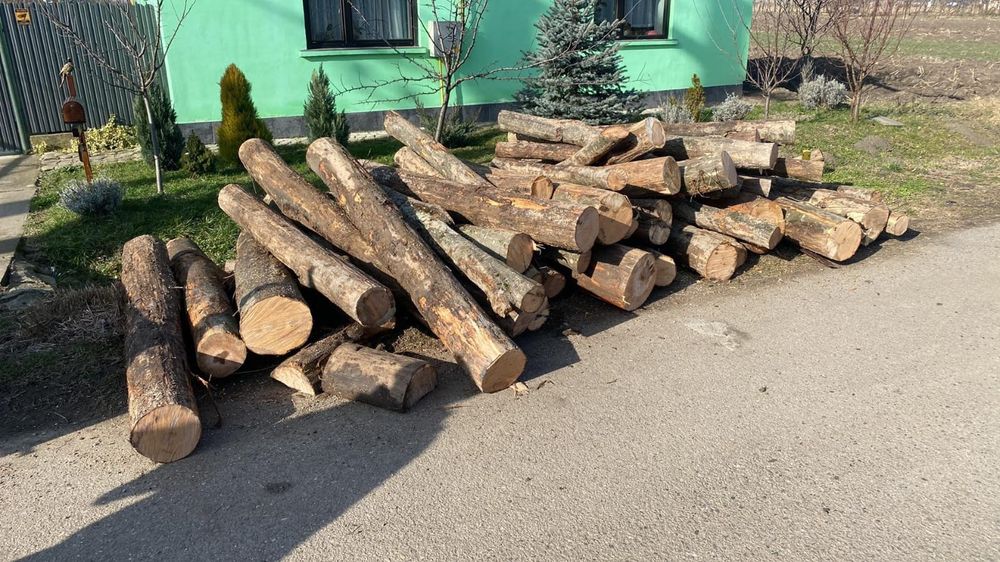 Lemne de foc esență tare