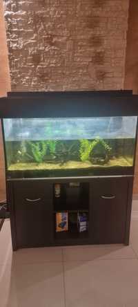 Продавам аквариум със шкаф към него с помпа