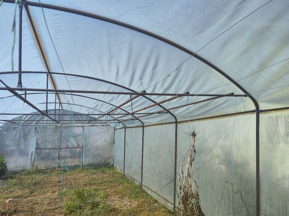 Vând  Solar legume 5x10- 50 mp