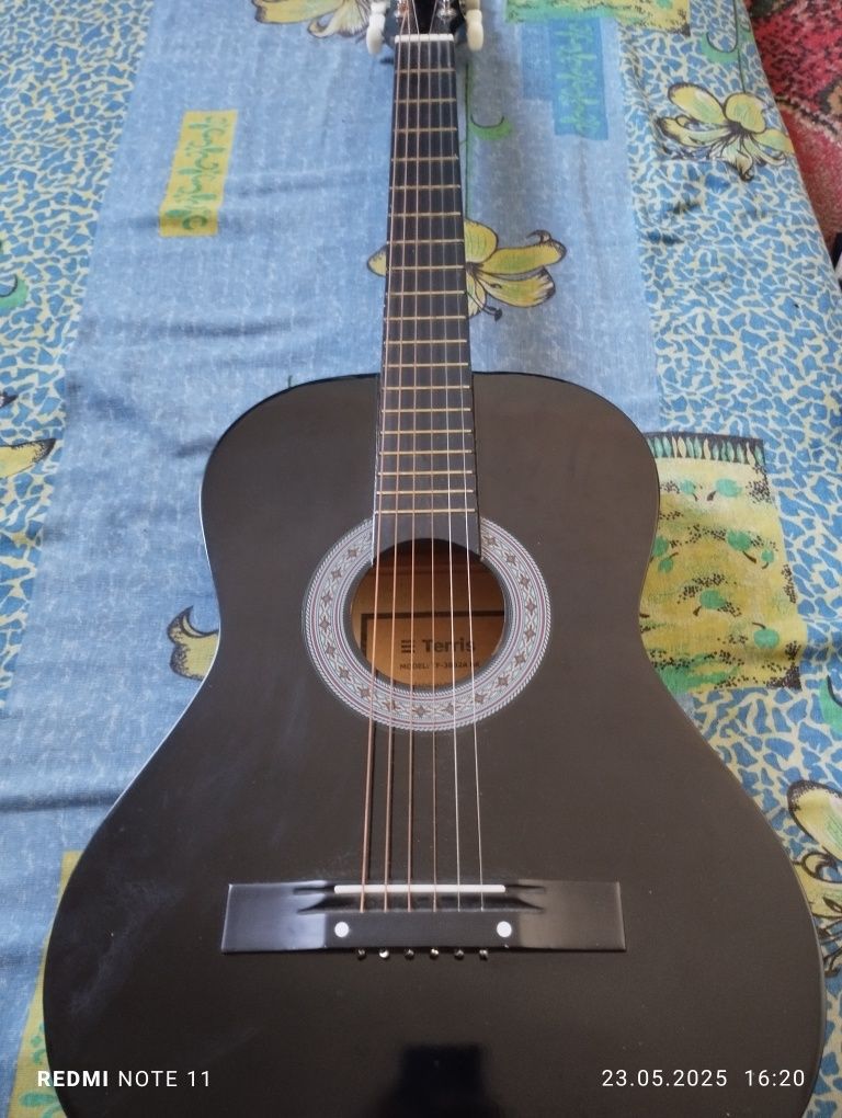 Gitara TERRIS sotiladi