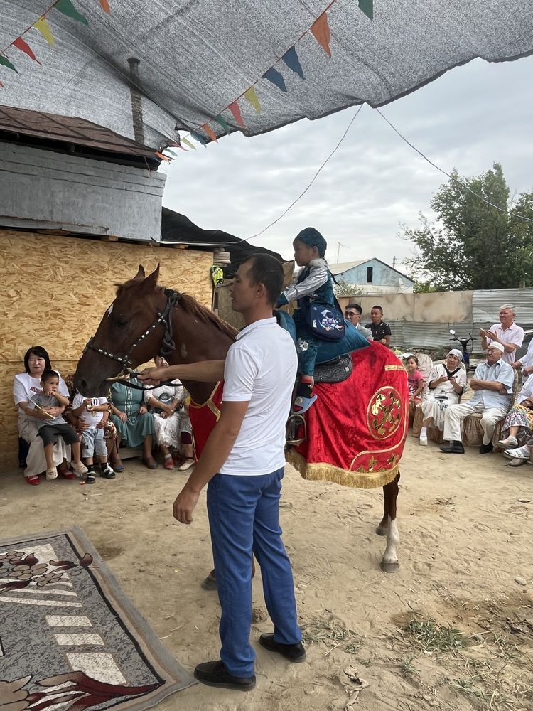 Сүндет тои ат бар