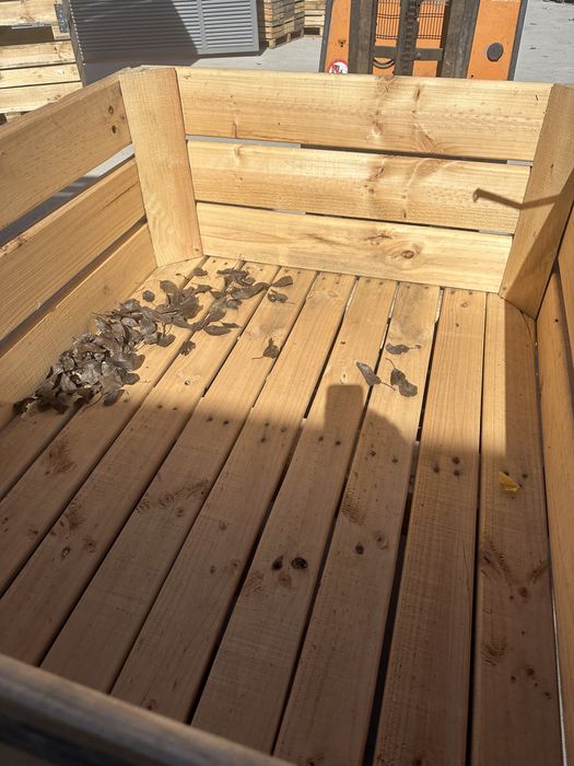 Boxpaleti lemn in stare foarte buna !