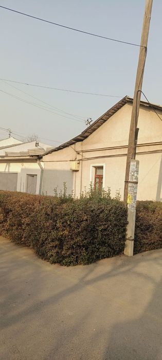 Uchaska Ustashirin 2,9 sot 100ming ye 4 hona