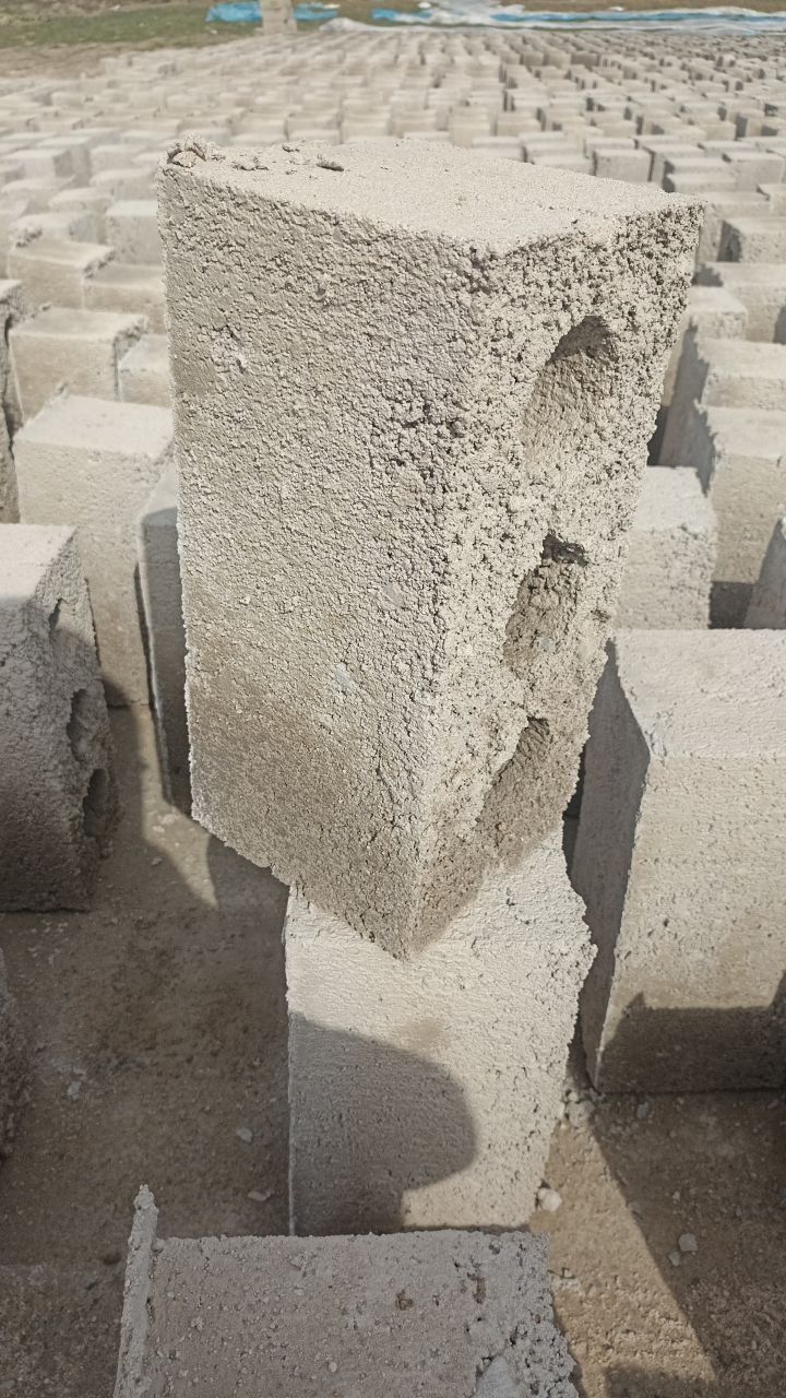 Блок гишт бор ..