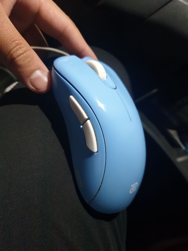 Zowie ec-1B мышь