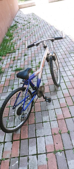 Bicicleta. Pegasus