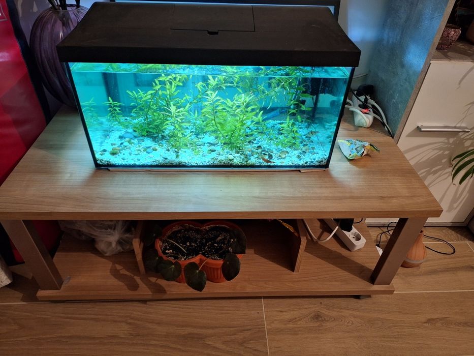 Vand acvariu si măsuța pe care sta