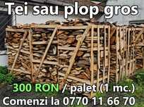 Lemn de foc din prelucrare (resturi de lemn)