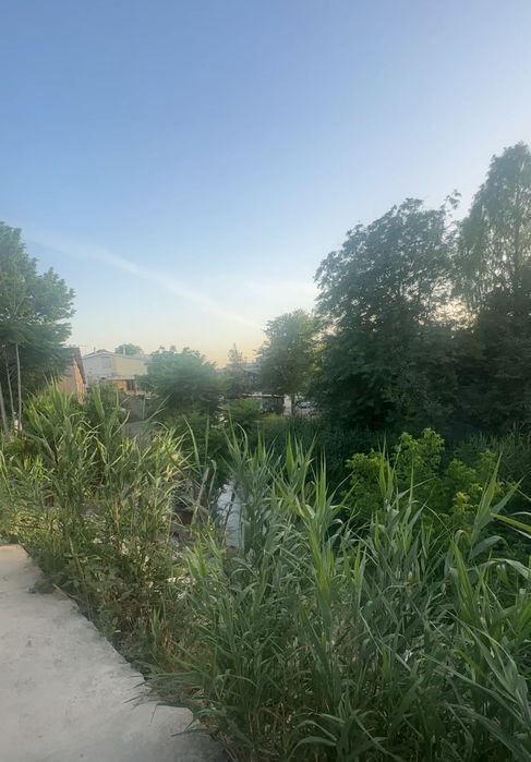 Дом в аренду м.Пушкина