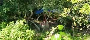 Casa de vanzare ideala pentru cei care cauta liniste si aer curat