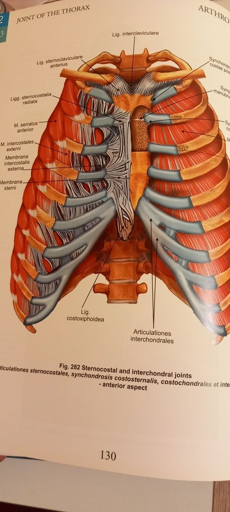 Atlas de anatomie.